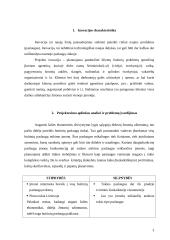 Klientų buitinių problemų sprendimo tobulinimas 3 puslapis