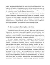 Požiūris į klonavimą 17 puslapis