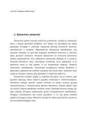 Požiūris į klonavimą 4 puslapis