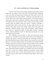 Konkurencingumo įvertinimas: "Jakovo veterinarijos centras" 17 puslapis