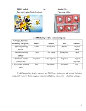 Konkurencinio marketingo sprendimai: UAB "TELE2" 12 puslapis