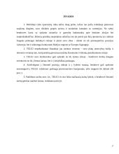 Konkurencinio marketingo sprendimai: UAB "TELE2" 18 puslapis