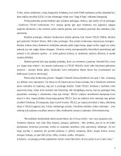 Konkurencinio marketingo sprendimai: UAB "TELE2" 7 puslapis