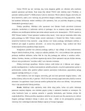 Konkurencinio marketingo sprendimai: UAB "TELE2" 8 puslapis