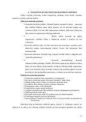 Kontrolės procesas ir jo svarba įmonės veikloje 11 puslapis