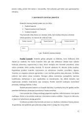Kontrolės procesas ir jo svarba įmonės veikloje 12 puslapis
