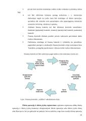Kontrolės procesas ir jo svarba įmonės veikloje 20 puslapis