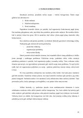 Kontrolės procesas ir jo svarba įmonės veikloje 10 puslapis