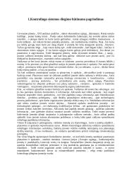 Kontrolingo sistemos diegimas įmonėje "Ramybės uostas" 2 puslapis