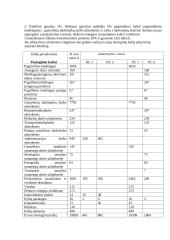 Kontrolingo sistemos diegimas įmonėje "Ramybės uostas" 11 puslapis