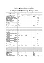 Kontrolingo sistemos diegimas įmonėje "Ramybės uostas" 4 puslapis