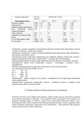 Kontrolingo sistemos diegimas įmonėje "Ramybės uostas" 5 puslapis