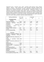 Kontrolingo sistemos diegimas įmonėje "Ramybės uostas" 6 puslapis