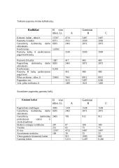 Kontrolingo sistemos diegimas įmonėje "Ramybės uostas" 7 puslapis