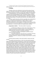 Korupcija ir decentralizacija 4 puslapis