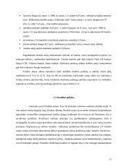 Kredito unijų plėtros tendencijos 10 puslapis