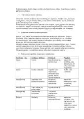 Krumpliastiebinė vairavimo sistema su hidrauliniu stiprintuvu (reduktorius) 4 puslapis