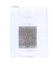 Krumpliastiebinė vairavimo sistema su hidrauliniu stiprintuvu (reduktorius) 6 puslapis