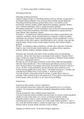 Krumpliastiebinė vairavimo sistema su hidrauliniu stiprintuvu (reduktorius) 8 puslapis