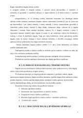 Kuro siurblys 12 puslapis