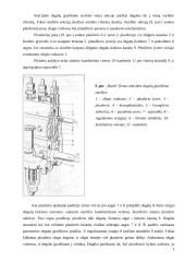 Kuro siurblys 13 puslapis