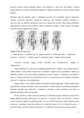 Kuro siurblys 14 puslapis