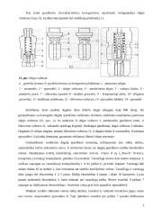 Kuro siurblys 16 puslapis
