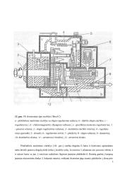 Kuro siurblys 18 puslapis