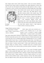 Kuro siurblys 19 puslapis