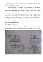 Kuro siurblys 4 puslapis