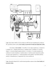 Kuro siurblys 6 puslapis