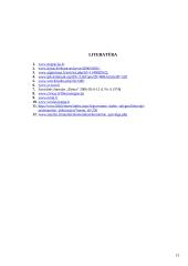 Laisvas asmenų judėjimas Europos Sąjungoje (ES) 13 puslapis