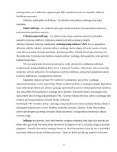 Lietuviškos medienos įvedimas į Olandijos rinką 11 puslapis