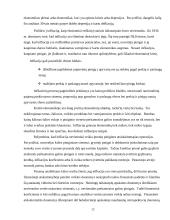 Lietuviškos medienos įvedimas į Olandijos rinką 12 puslapis