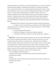 Lietuviškos medienos įvedimas į Olandijos rinką 13 puslapis