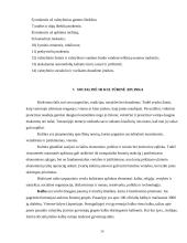 Lietuviškos medienos įvedimas į Olandijos rinką 14 puslapis