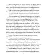 Lietuviškos medienos įvedimas į Olandijos rinką 15 puslapis