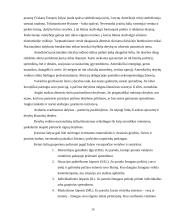 Lietuviškos medienos įvedimas į Olandijos rinką 16 puslapis