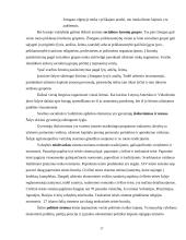 Lietuviškos medienos įvedimas į Olandijos rinką 17 puslapis