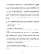 Lietuviškos medienos įvedimas į Olandijos rinką 20 puslapis