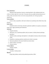 Lietuviškos medienos įvedimas į Olandijos rinką 3 puslapis