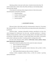 Lietuviškos medienos įvedimas į Olandijos rinką 7 puslapis