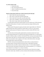 Lietuviškos medienos įvedimas į Olandijos rinką 8 puslapis