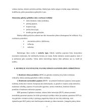 Lietuviškos medienos įvedimas į Olandijos rinką 9 puslapis