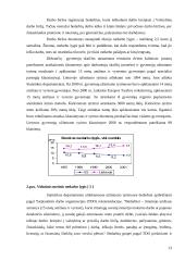 Lietuvos darbo rinkos struktūros ypatumai 13 puslapis