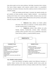 Lietuvos darbo rinkos struktūros ypatumai 16 puslapis