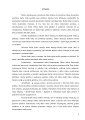 Lietuvos darbo rinkos struktūros ypatumai 4 puslapis