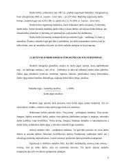 Lietuvos darbo rinkos struktūros ypatumai 9 puslapis