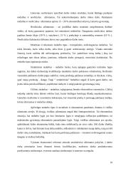 Lietuvos darbo rinkos struktūros ypatumai 10 puslapis