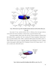 Lietuvos draudimo rinkos plėtros 2000-2003 metais įvertinimas 18 puslapis